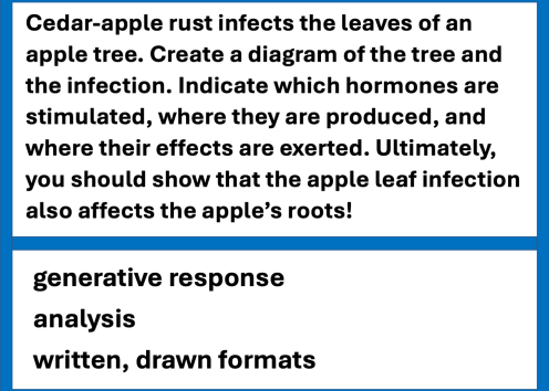 Example exam questions from the field of plant biology about hormones. The question difficulty is relatively high, involving generative response at the remembering level, using both written and drawn formats..